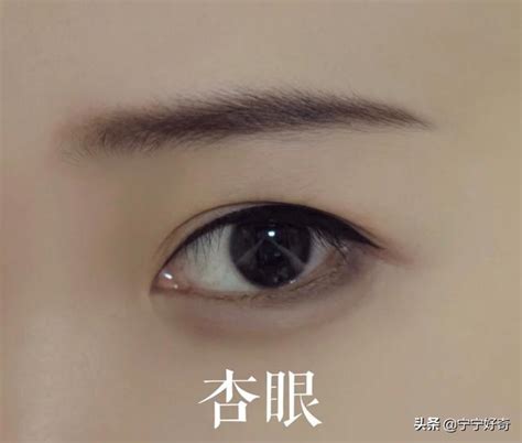 丹鳳眼面相|從眼型看桃花運｜6款桃花眼面相特徵 「笑眼」最煞食｜細數典型 